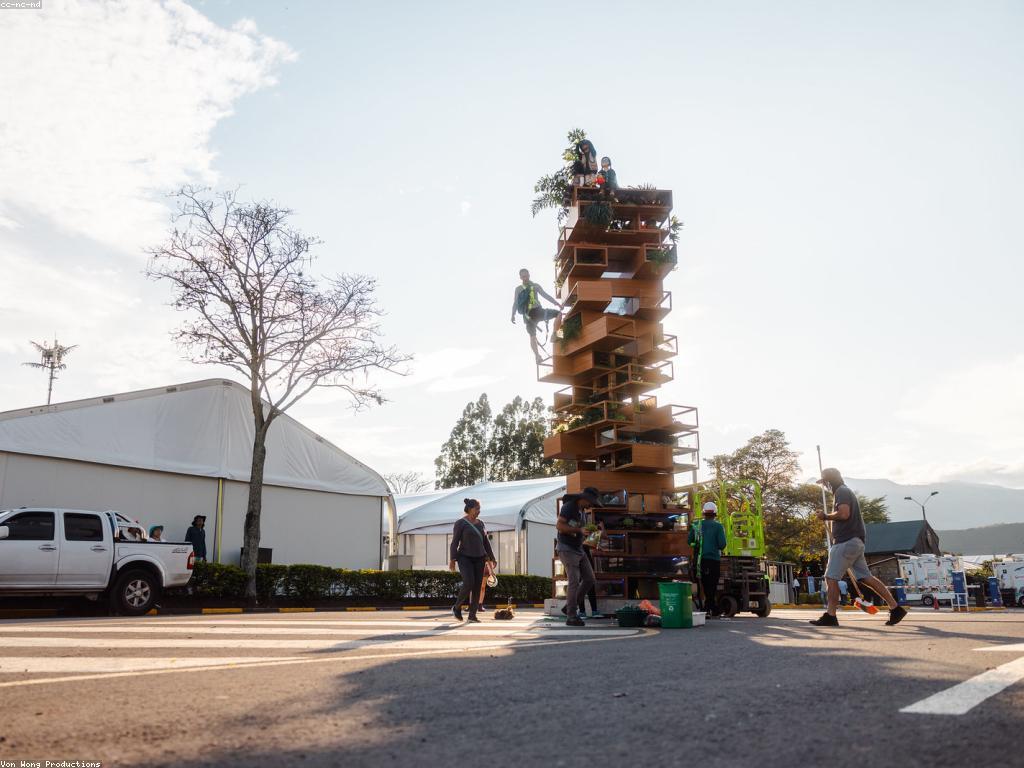 ការបង្ហាញហ្គេម: សិល្បៈនៃការបង្ហាញ